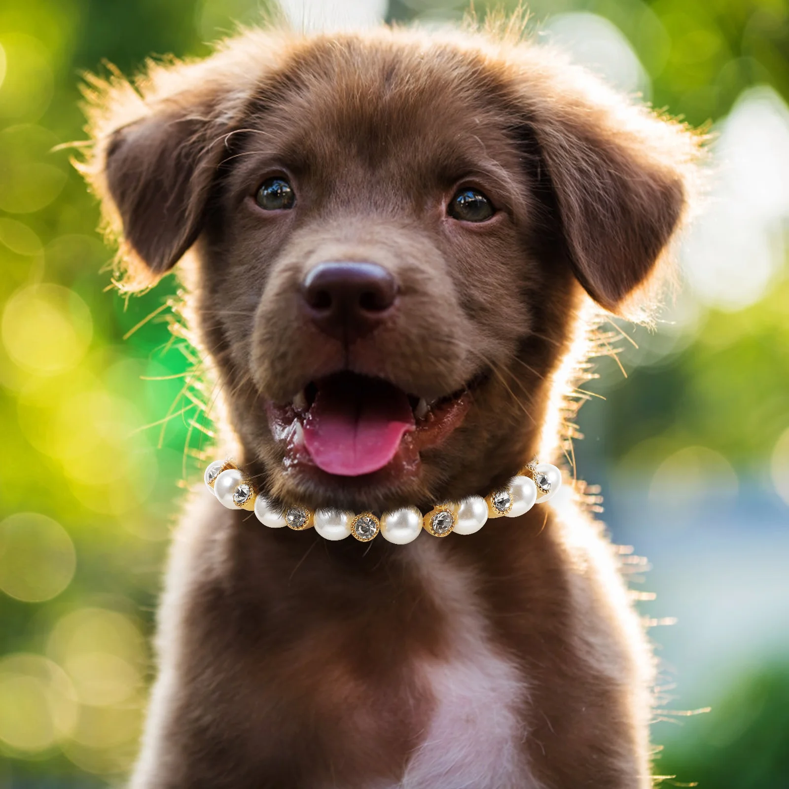 

Pet Collar For Dogs Puppies Decorative Dog Collar Lightweight Fashion Party Wedding Photography Outdoor Use Bright Color