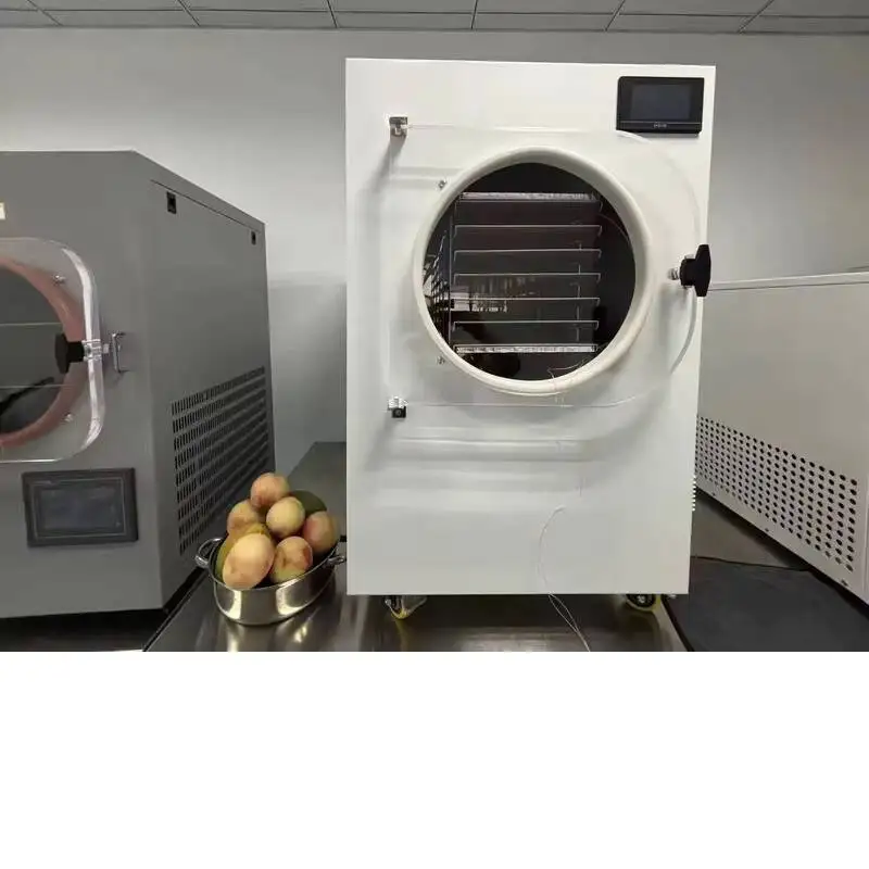 Household Commercial 10~20kg Yophilizer Freeze Dryer Small-sized Food, Fruits, Vegetables, And Chinese Herbal Medicine