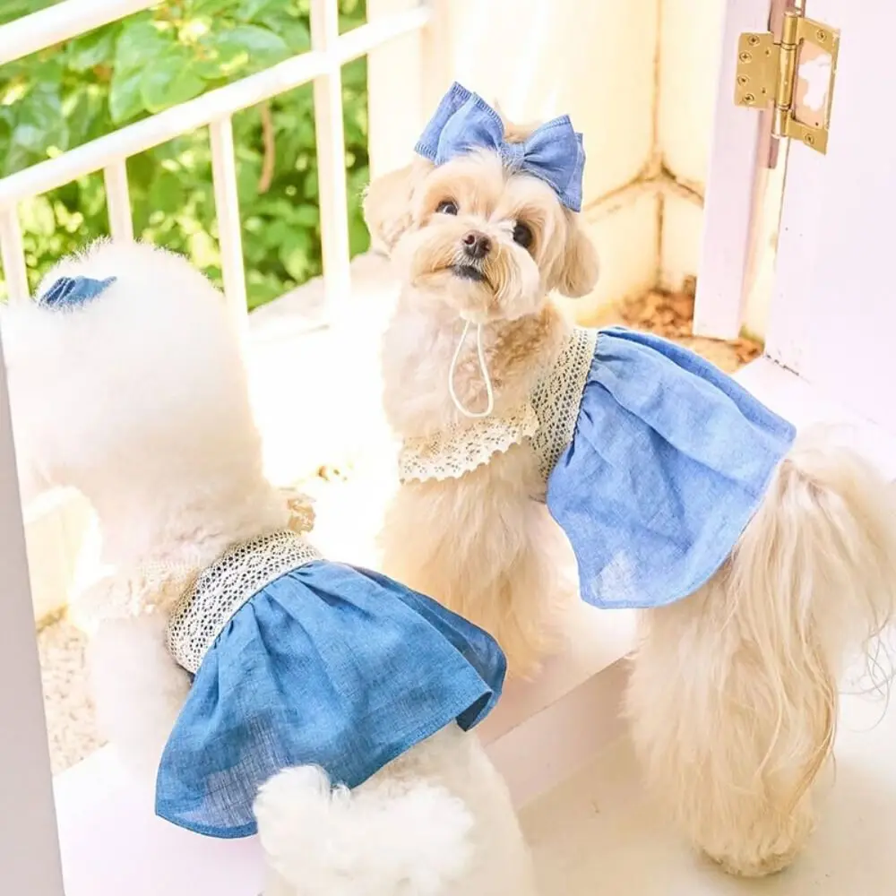 

Fashion Lace Pet Lace Denim Dress Soft Thin Pet Clothes Comfortable Breathable Dog Summer Vest Kittens
