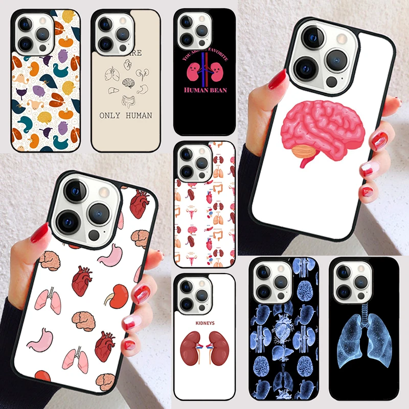 Medical Human Organs Brain Kidney cover For iPhone 15 16 13 12 11 14 Pro Max Mini Max SE 2020 7 8 6S Plus Phone Case