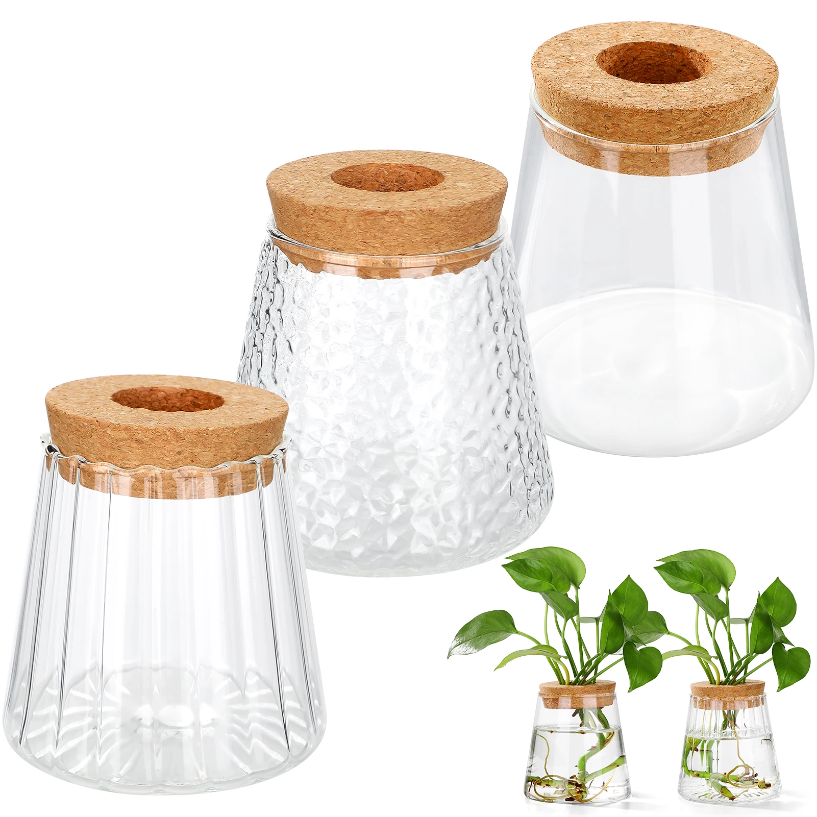 

PE Foam Packing Volcanic Vase Glass Hydroponic Plant Bottle for Pothos Eco Glass Aquatic Plant Container Green Decoration
