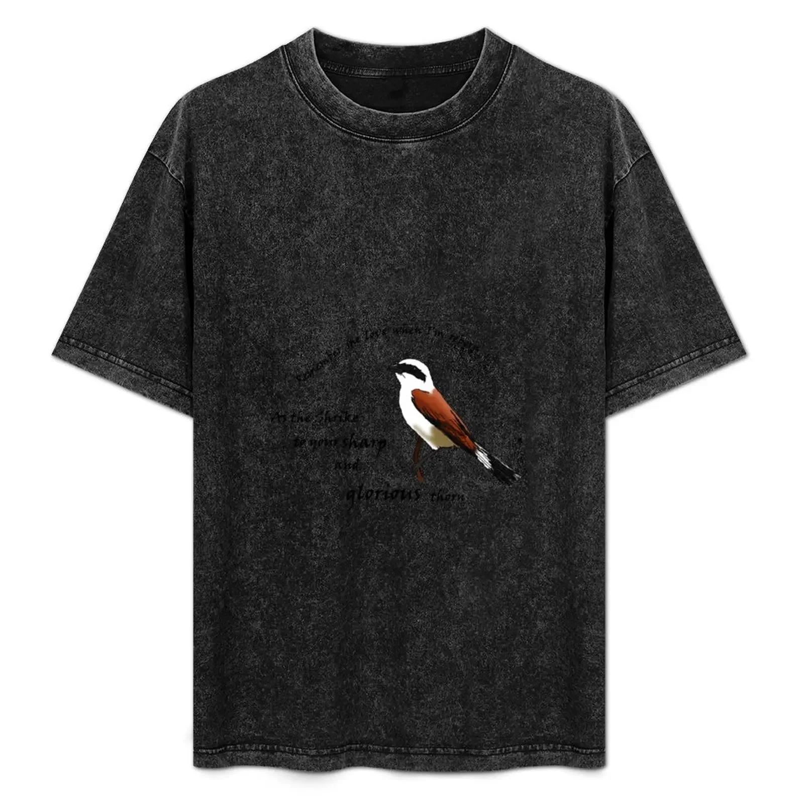 

Shrike Hozier Lyrics bird T-Shirt tshirts personalised aesthetic clothes vintage clothes mens vintage t shirts