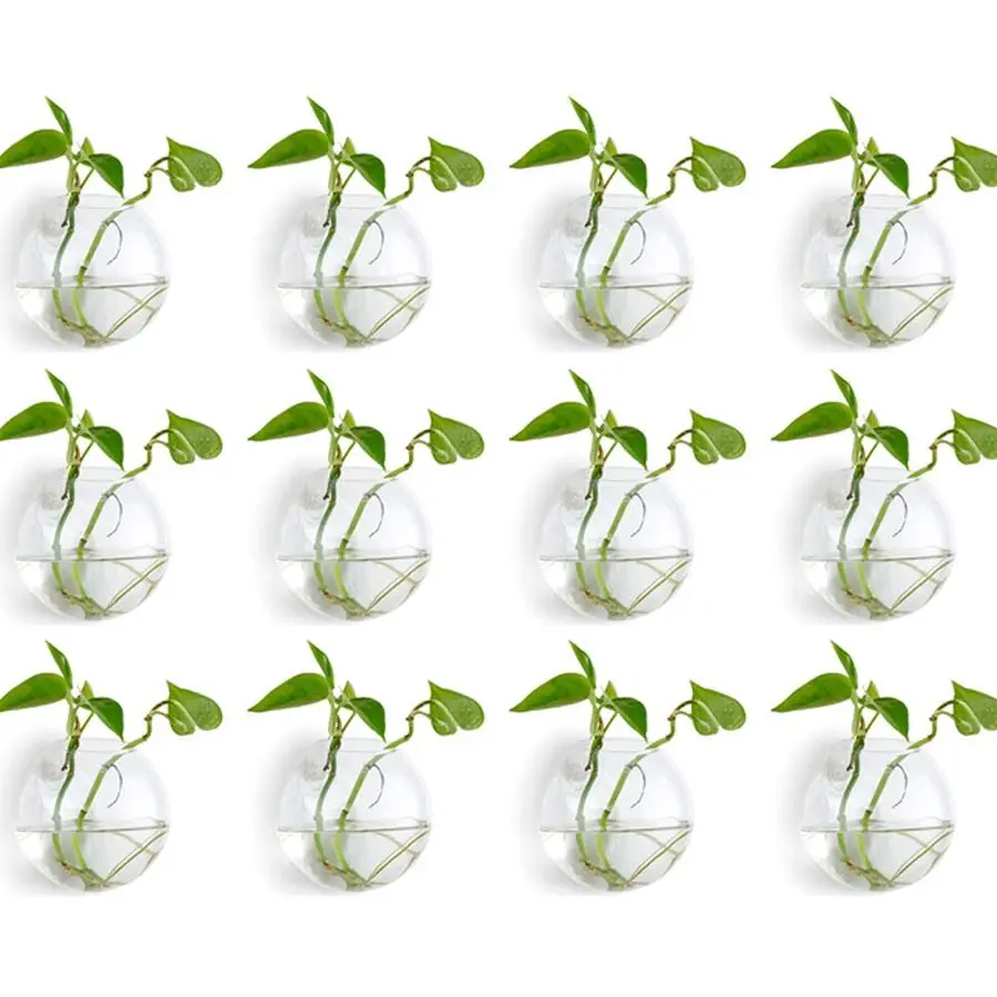 

Wall Hanging Planter Terrarium Glass Air Plant Holder 12PCS Propagation Indoor Floral Vase 4 Inch Flat Round Hydroponic Containe