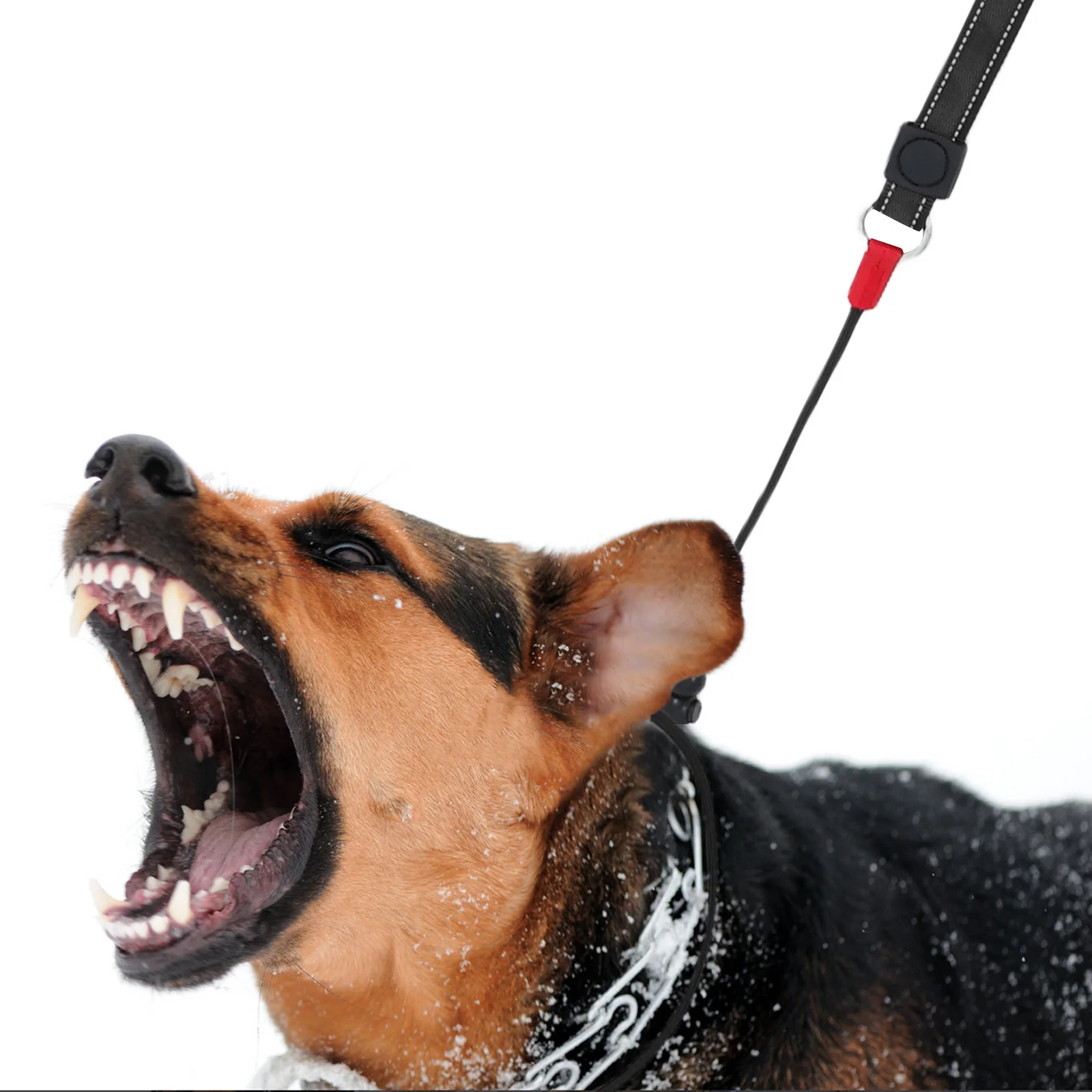 

Anti Pull Dog Leash Chewproof Slip Lead For Training Comfortable Walking Hiking Recall Traction Rope Pet Nylon Leash