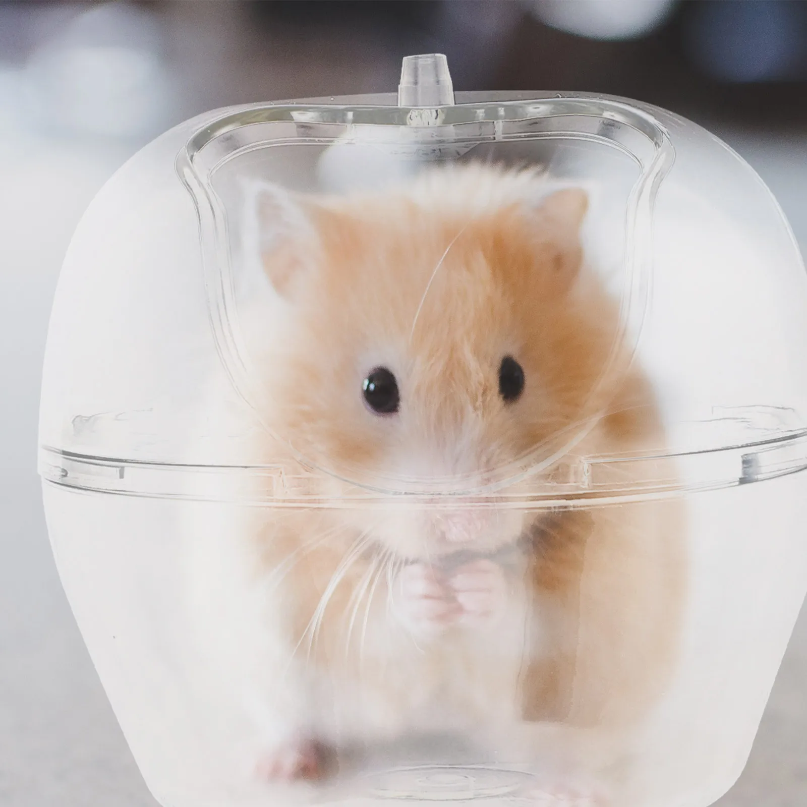 

1Pcs Hamster Bathroom Transparent Plastic Bath Basin Sand Bath Container Small Pet Toilet Supplies Hamster Bathroom