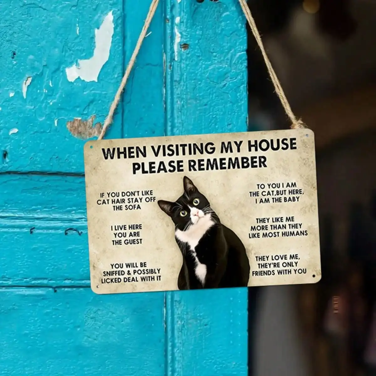 

1 шт. жестяная вывеска с забавной тематикой домашнего животного-домашний декор/подарок «без посещения замни», иллюстрация кошки, 8x12 дюймов