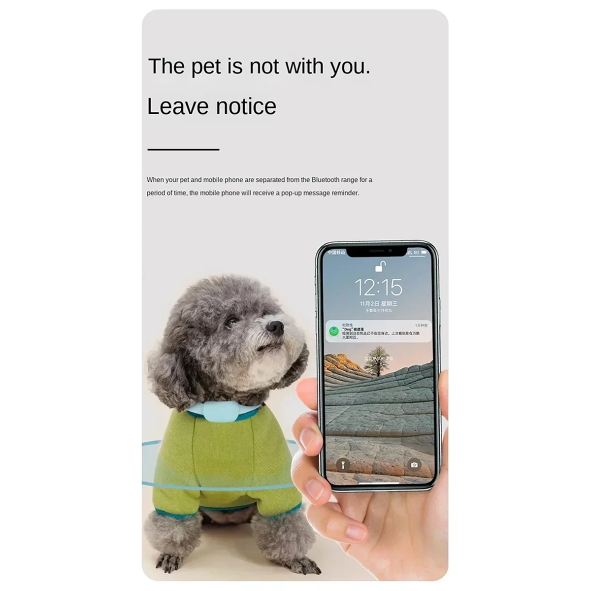 A59T Pet Positionin…