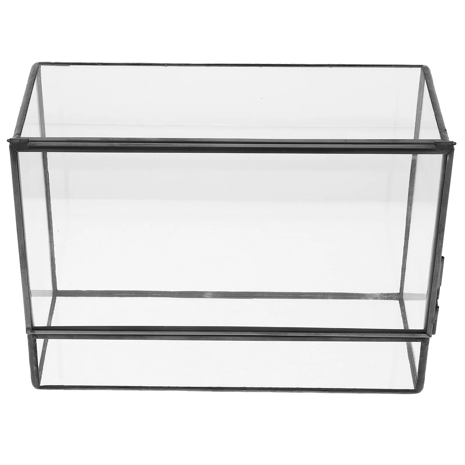 

Glass Terrarium Container Micro Landscape Moss Holder DIY Ecosystem Box Transparent Case for Tabletop Tea Table Decoration