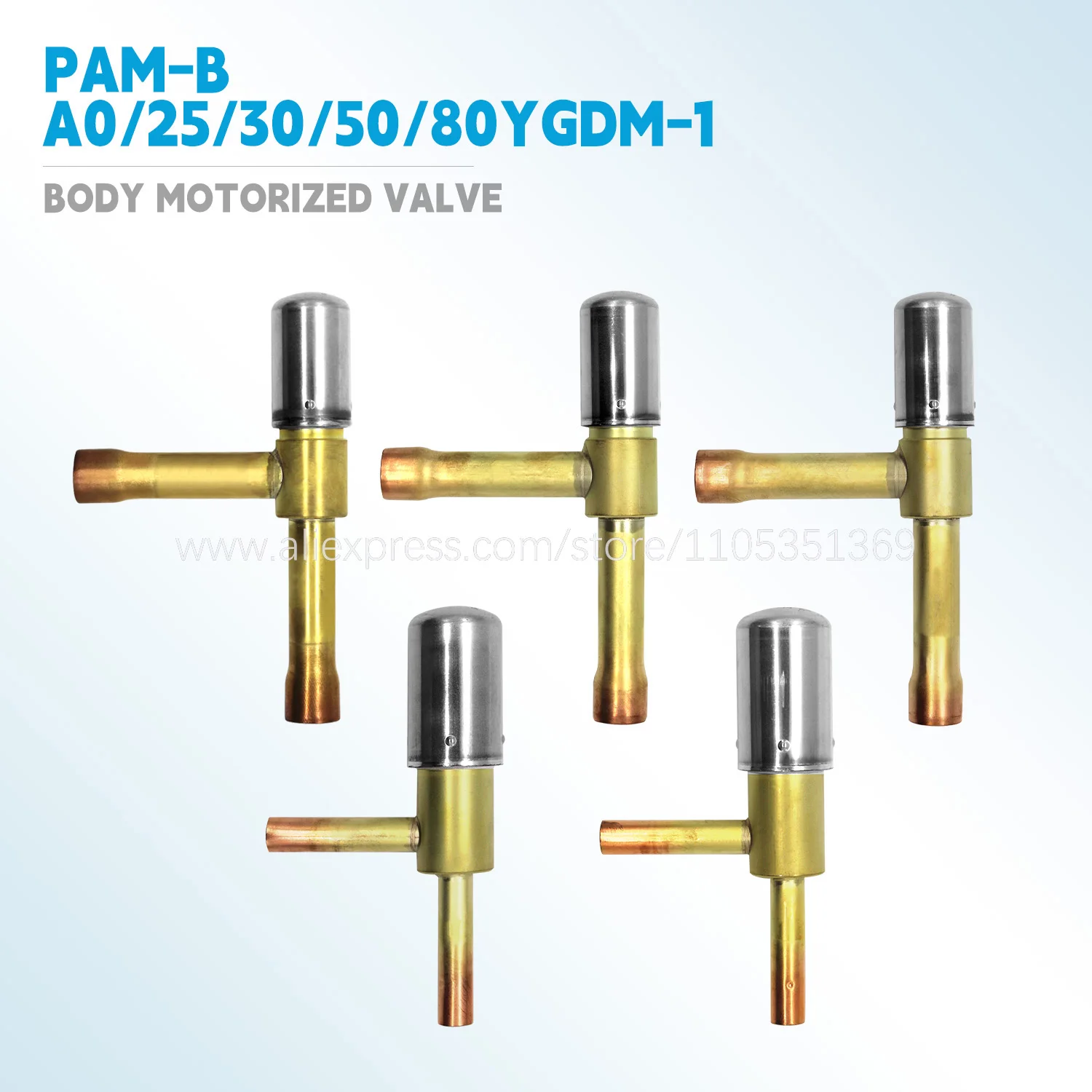 vanne-motorisee-2061568-6024151-6024150-2061551-2061544-2538013-17-18-3s500020-4-5-3sa50107-1-3-4-pam-b25-30-50-80-a0ygdm-1