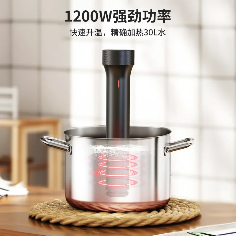 110V/220V WEVAC Sous Vide Precision Cooker Immersion Circulator for Steak Home Chef BDD