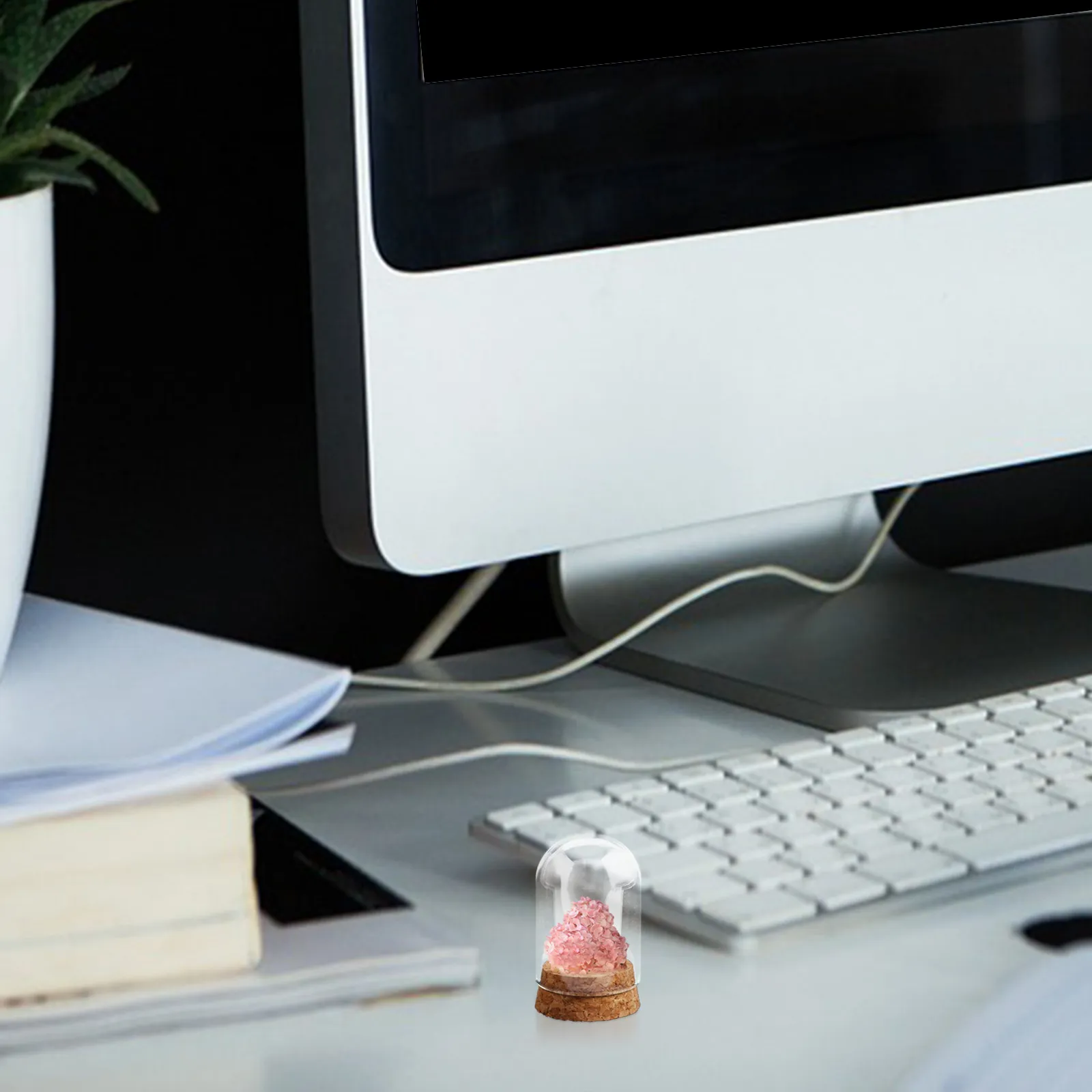 

Набор из 4 стеклянных куполов для цветов с деревянной подставкой для декоративного оформления дома и офиса