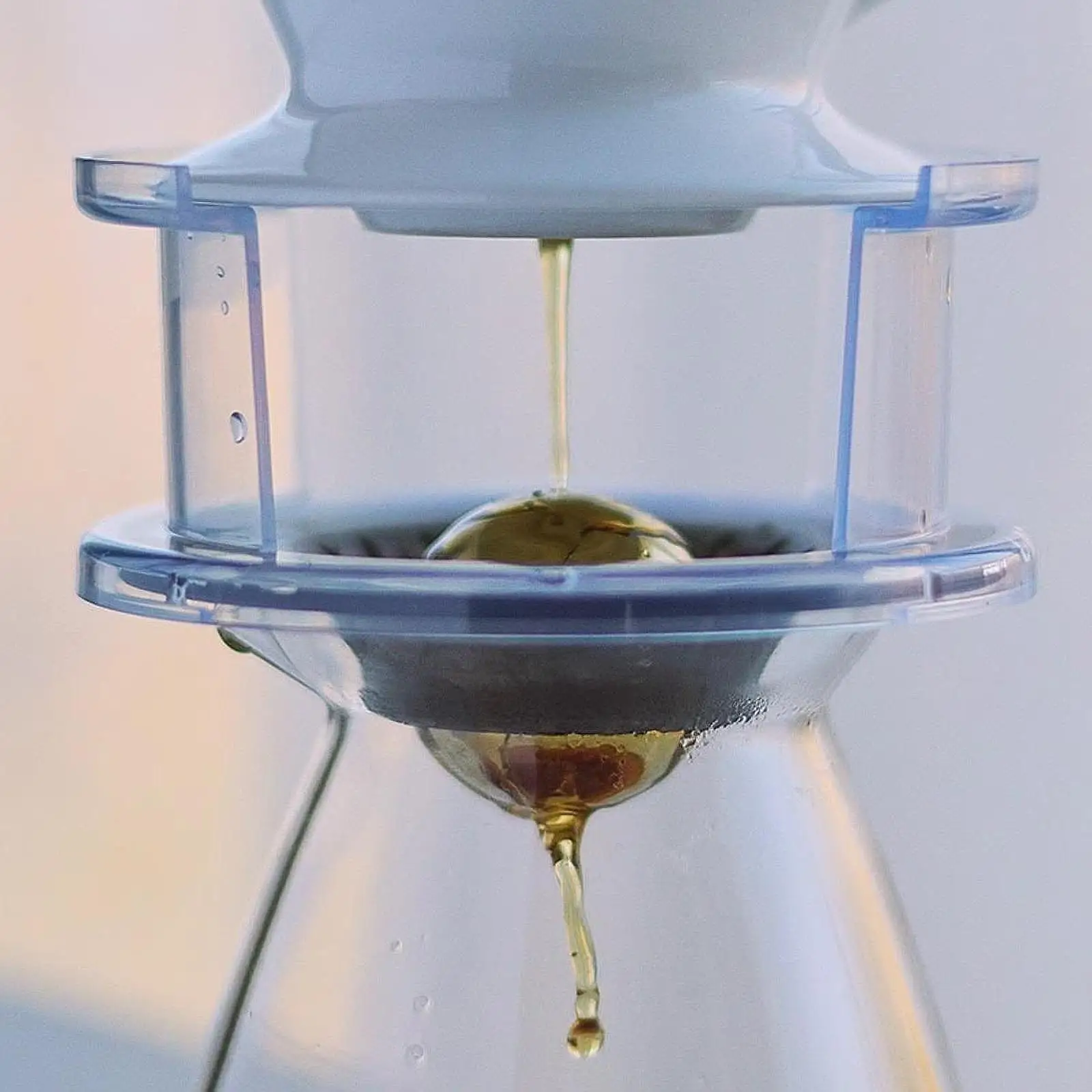 حامل قهوة بفلتر بالتنقيط، حامل منقط القهوة، محمول وشفاف، مخمر يدويًا للمنزل والتخييم والمكتب والنزهات لمحبي القهوة