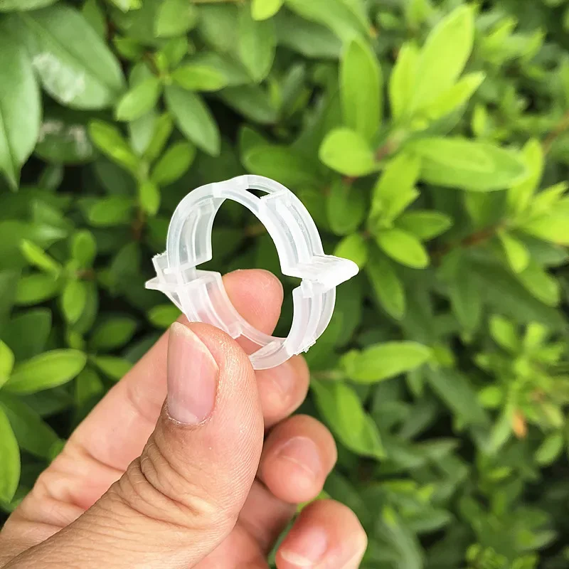 Plant Climbing Wall Clips Support Buckle Hook Rattan Clamp Grafting Fixing Stent Invisible Vine Fixed Bracket Tomato Garden Tool