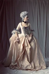 18th Century Costume Women Victorian Royal Queen French Court Marie Antoinette Costume Dress Versailles Costume Ball Gown