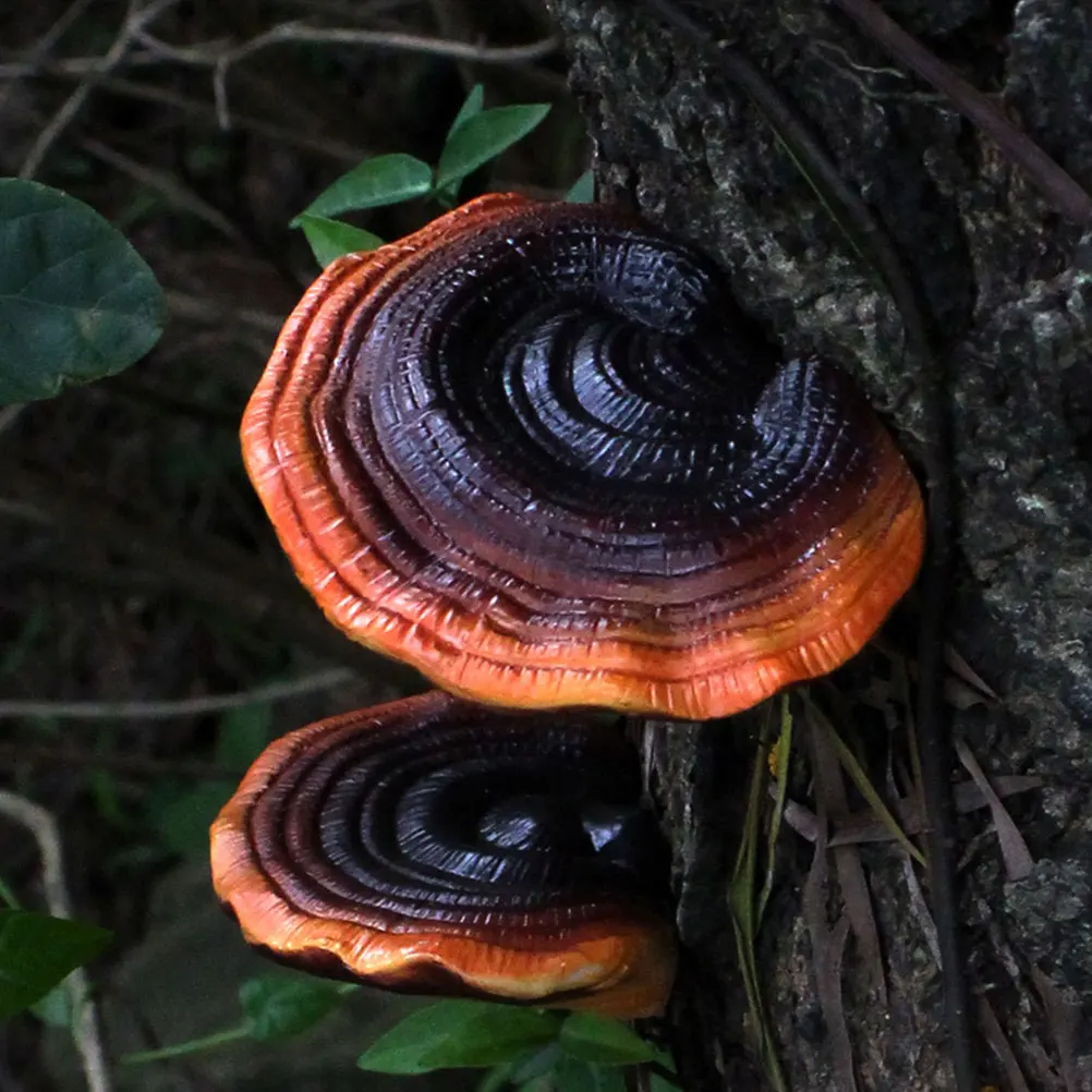 

5pcs Mini Landscape Mushrooms Micro Resin Bonsai Decor Small Mushroom s For Garden Indoor Outdoor Decoration Mushroom