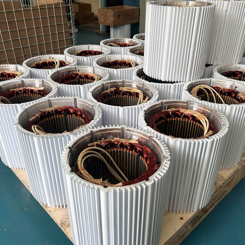 40KW مولد تربيني الرياح 380 فولت الطاقة المولد المغناطيسي الطاقة الحرة طاحونة عالية الكثافة عزم بدء منخفض بالنسبة لك