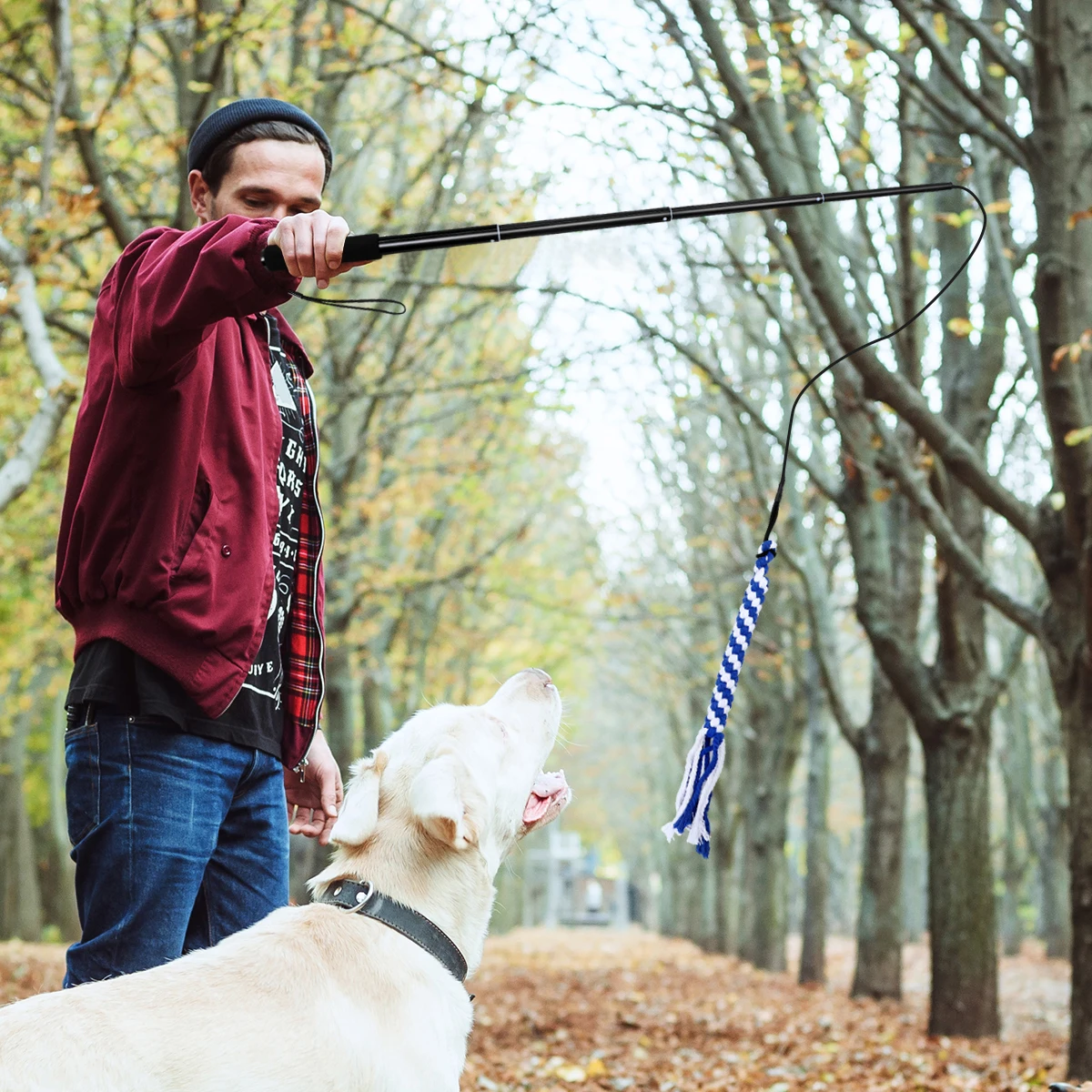 

Telescoping Dangler Stick Black L Extendable Pet Teaser Pole For Dogs Super Elastic Rubber String Chasing Tail Interactive