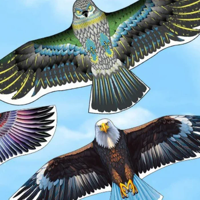 1.65 متر/1.45 متر/1.2 متر جديد وصول في الهواء الطلق متعة الرياضة النسر طائرة ورقية تحلق الطيور الورقية للأطفال أو الكبار تحلق جيد