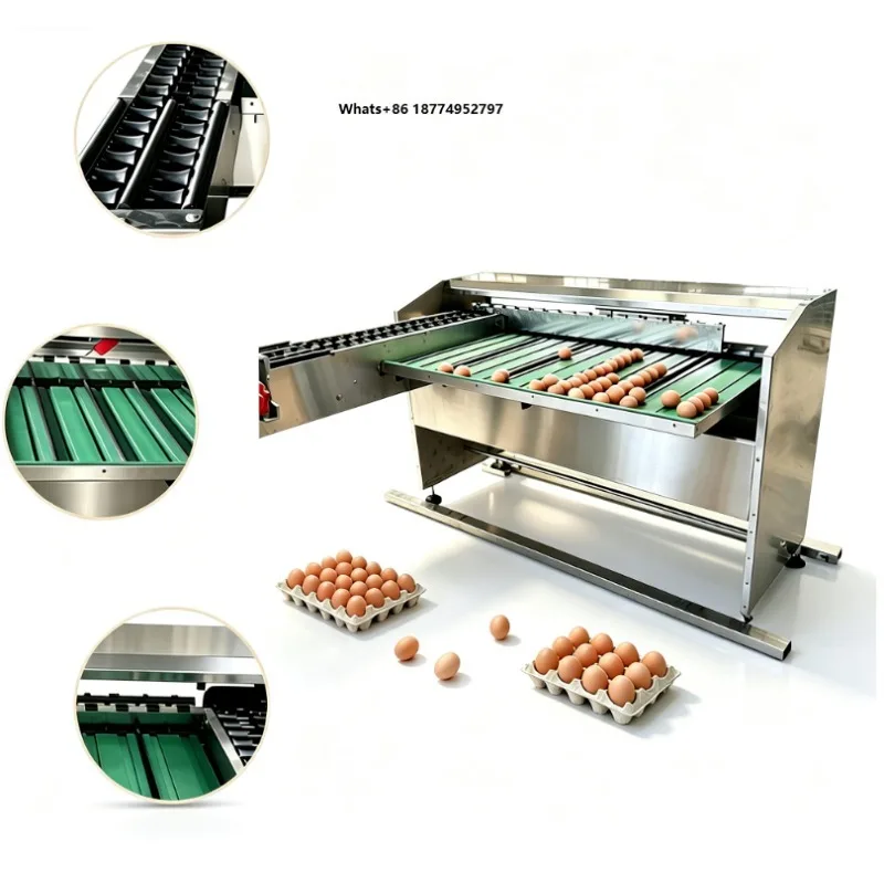 High Precision Multi Sorting Chicken Egg Classifier Check Weigher Machine