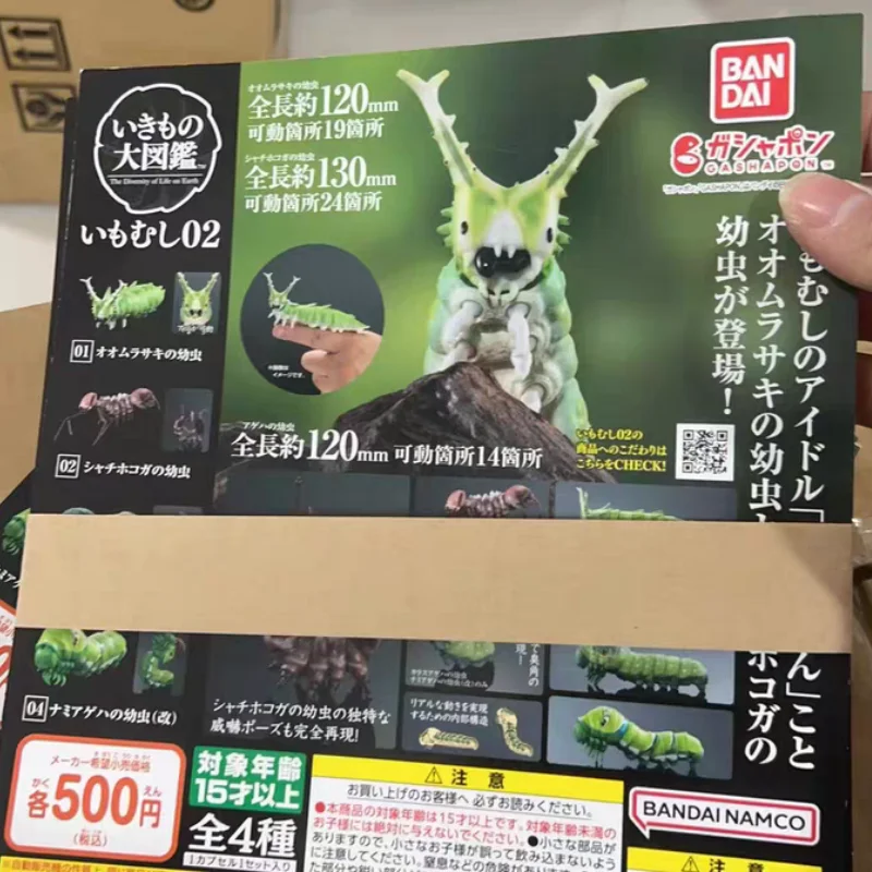 Caliente Bandai japonés Gashapon huevo gran mapa biológico de gusano insecto simular biología conjunta modelo móvil Juguetes