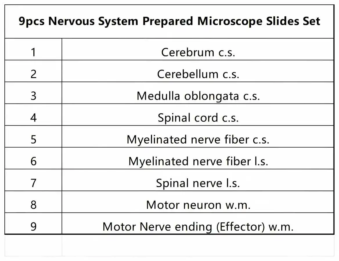9pcs Educational Microscope Slides Set for Nerve Structure Observation & STEM Science Learning