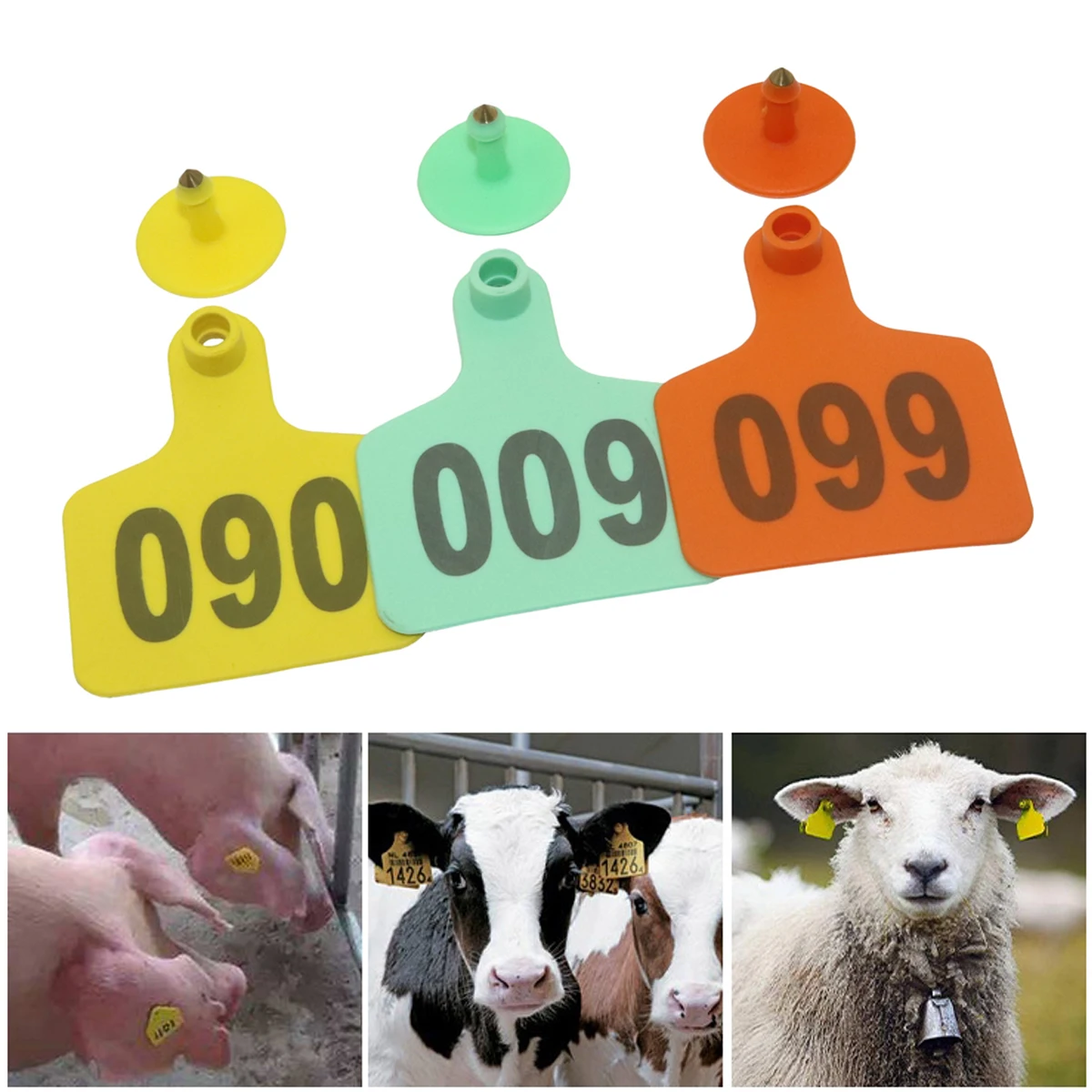 Sheep ear tag Signs with the word ear Laser Farm Animal Livestock Digital Identification Card Feeding Device Livestock Ear tag