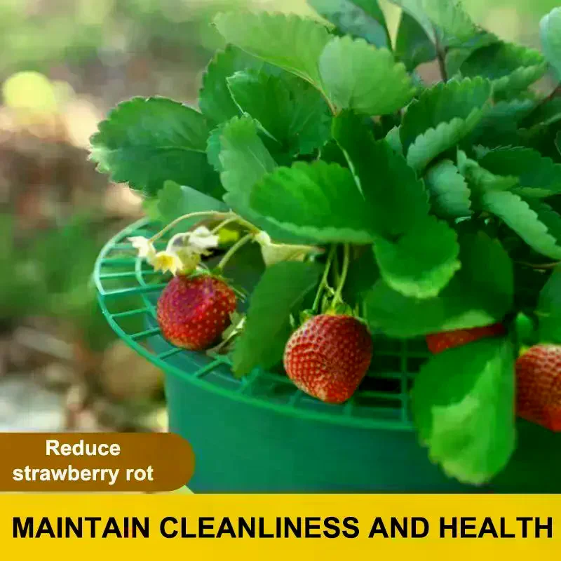Plant Support Stand With Legs, Plastic Round Growing Rack To Keep Berries Clean & Prevent Rot Strawberry