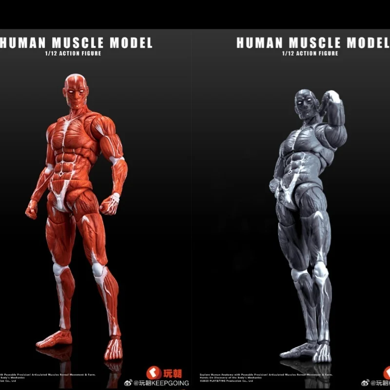 2025 جديد 1/12 مقياس نموذج العضلات البشرية الترا مفصلية الجسم عمل الشكل جمع الديكور الحلي لعبة هدايا عيد الميلاد #1