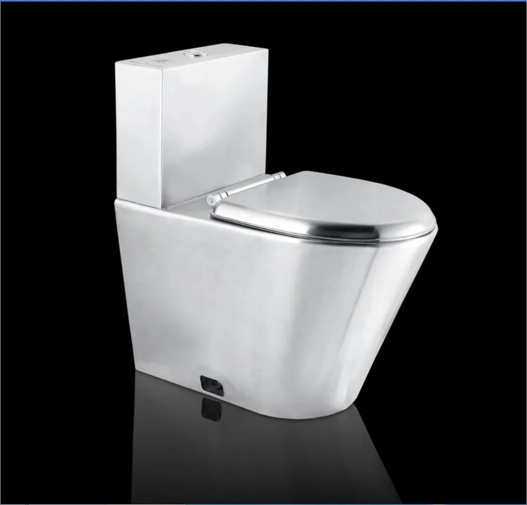 Sanitary Ware CE Double Flush Flush Down P Trap Floor Installation Toilet High Security Stainless Steel Toilet