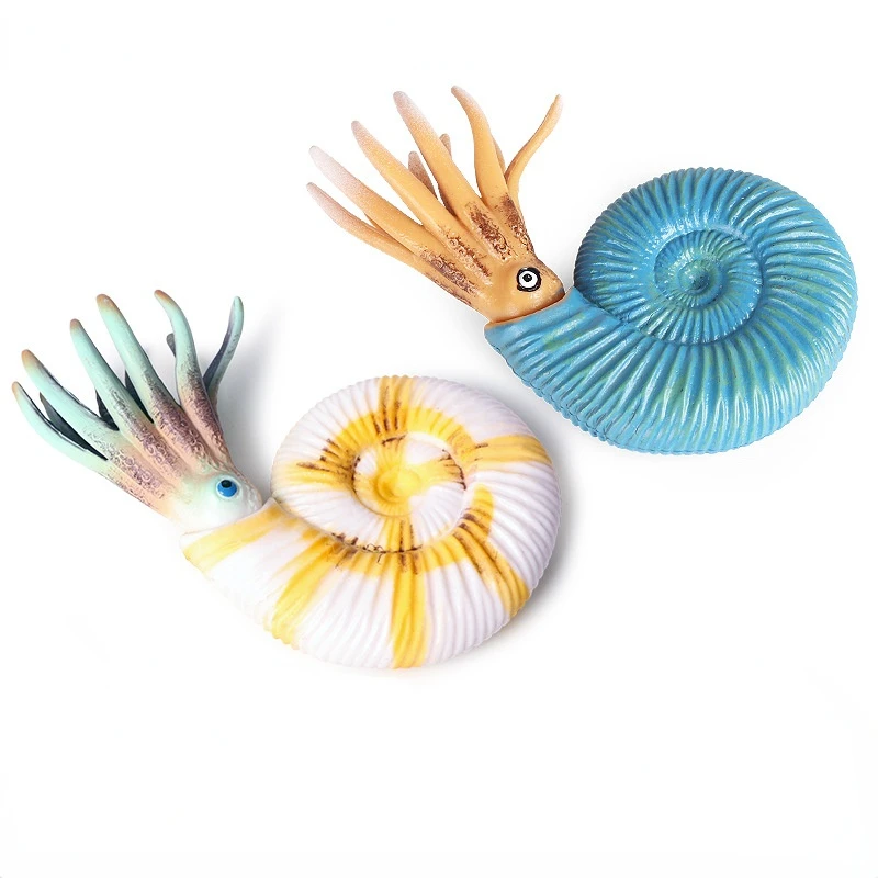 Conch Simulation Marine Animal Model Toy Ancient Creature Nautilus Model Children's Doll Ornaments