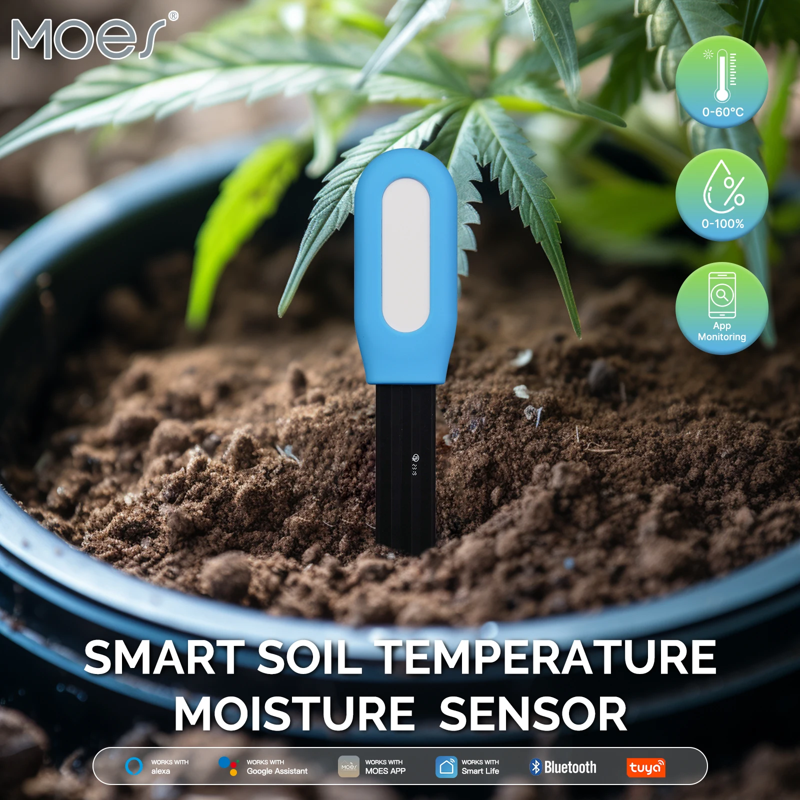 Tuya Bluetooth Mini Soil Temperature Moisture Meter APP Intelligent Linkage Garden Watering System Works With Alexa Google Home