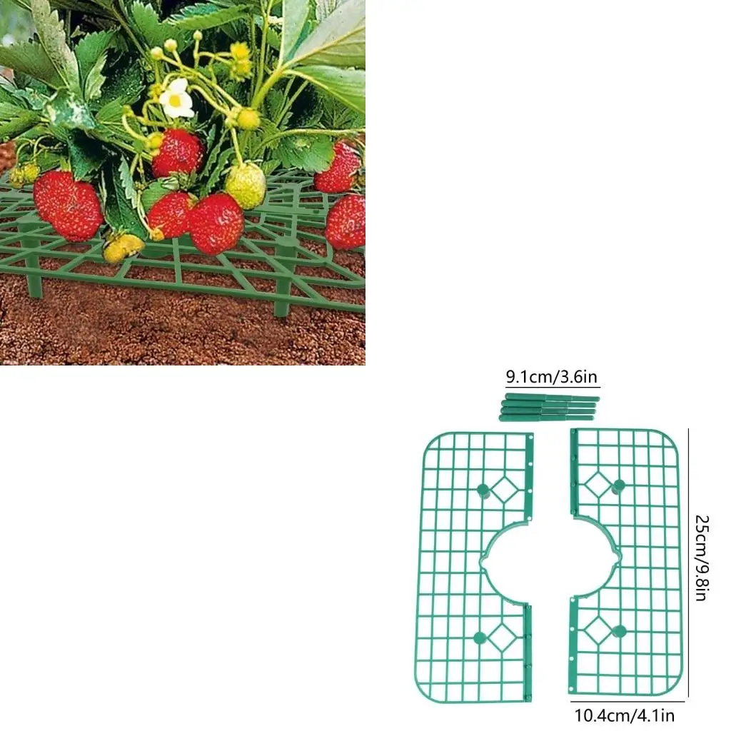  Strawberry Stands 3 Pcs Plastic Support Holder Strawberries Growing Frame Holder