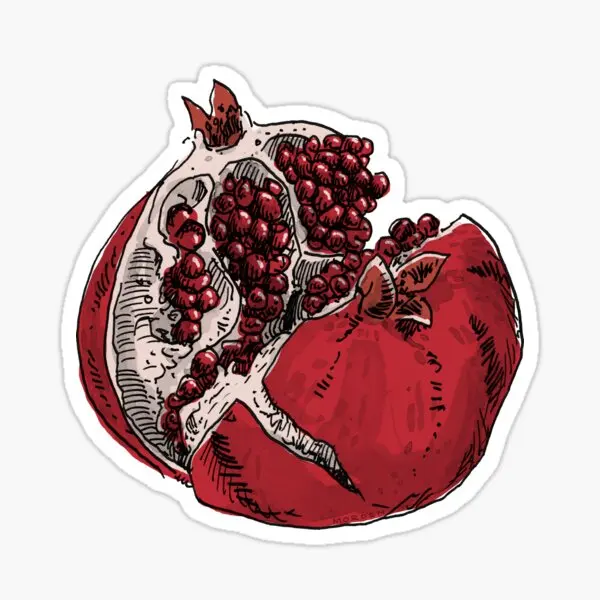 

Pomegranate Drawing 5PCS Stickers for Cartoon Home Bumper Laptop Decorations Cute Luggage Window Art Room Water Bottles 5PCS St
