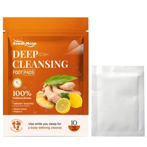 Ingwer Deep Detox Foot Pads, Kräuterlinderung, Stress, Schlaf, Reinigung, Gewichtsverlust, Pflegewerkzeug, 10 PCs, 20pcs 10 Hauptverkauf Entgiftung Pes - №2