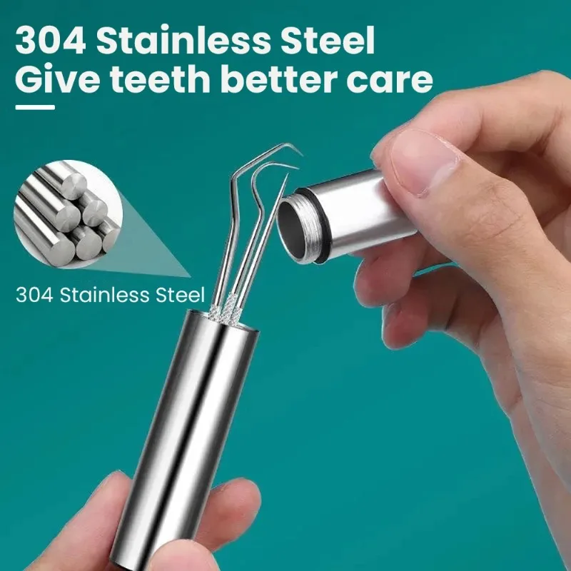 Stainless Steel Toothpick Portable Tooth Picking Tool Oral Care Dental Needle Hook Floss Tooth Needle Set