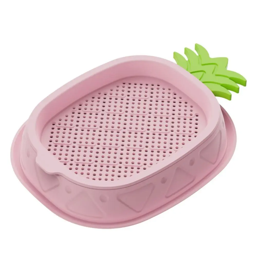Pineapple Shape Cat Grass Planting Box Seed Sprouting Trays Without seeds Cat Grass Case Soilless Hydroponic