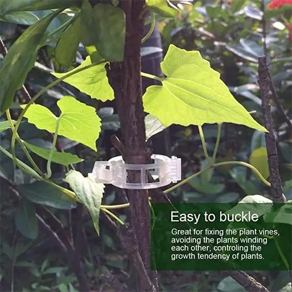 Secured Plant Plastic Clip Plastic Plant Clips Supports Connects Reusable Protection Grafting Fixing Gardening Tools