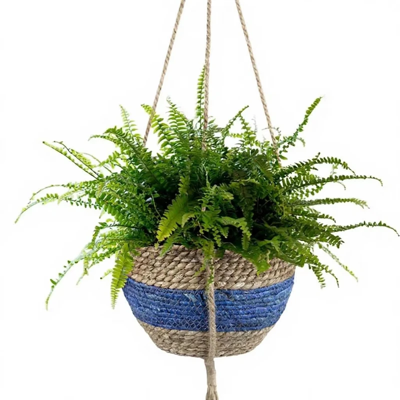 Outdoor and Indoor Hanging Natural Seagrass Baskets Blue Plant Pots Fast Delivery