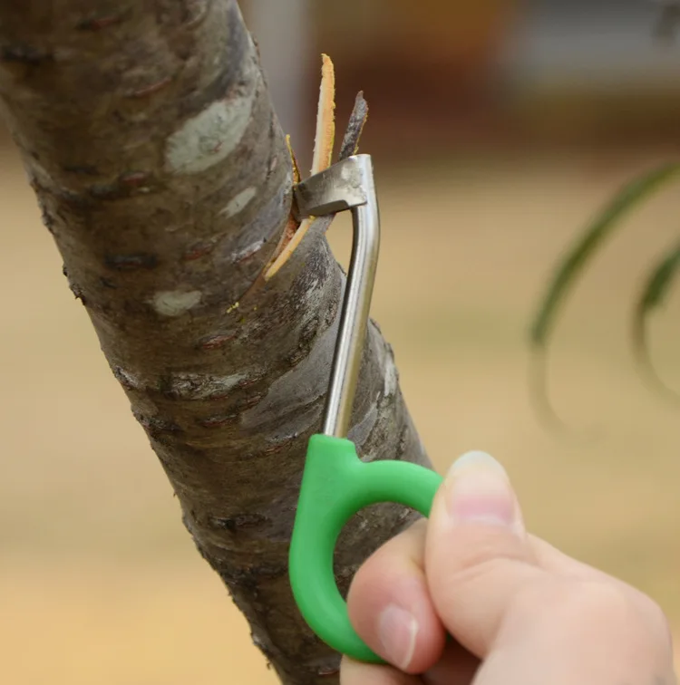 Coupe-aboiement en anneau de manganèse, ciseaux, couteau de ceinture, outils d\'élagage, arbre fruitier de jardin, raisin