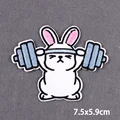 PE7101CT