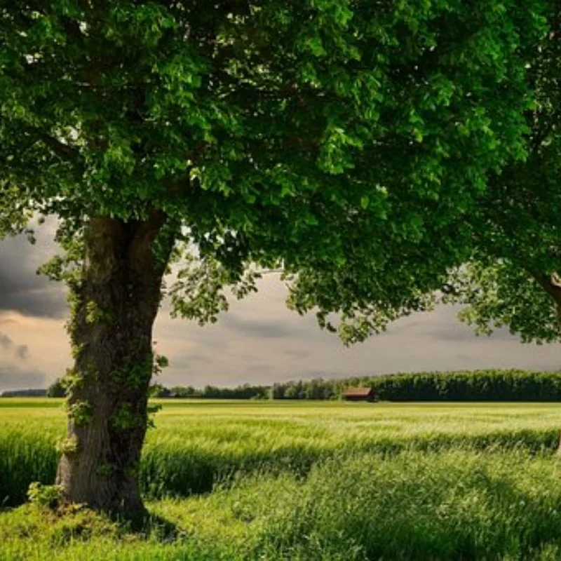 

4PCS 120MM 1.9" Rubber Rock Tyres Wheel Tires for 1:10 RC Crawler Car Axial SCX10 90046 AXI03007 TRX4 Redcat Gen8