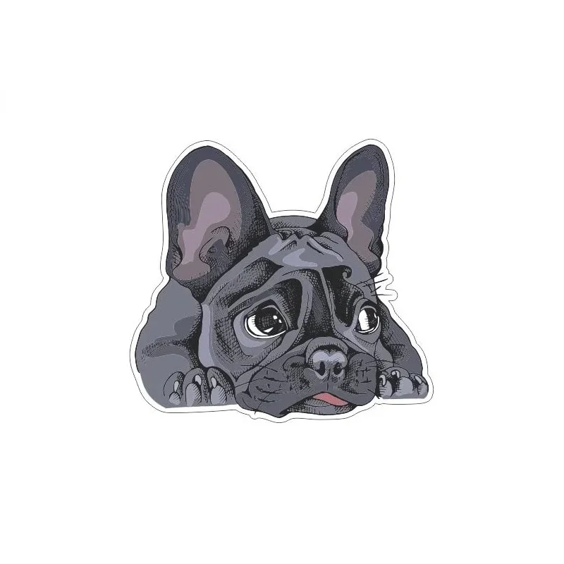 Adesivo criativo de buldogue francês, decoração do risco do carro, capacete portátil off-road, decoração da motocicleta, novo design, 12cm