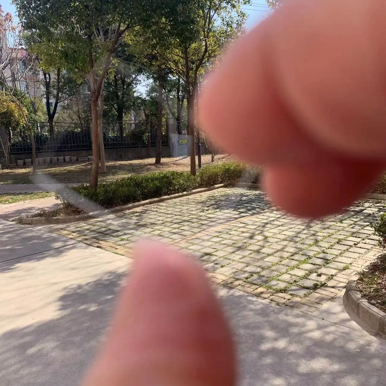 thumb