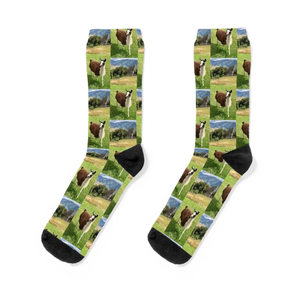 

Llama Socks Heating sock golf anti slip football Stockings compression Male Socks Women's