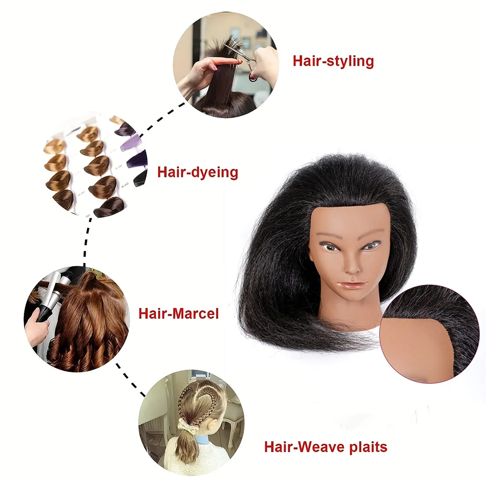 Cabeça Africana de Manequim para Mulheres, 100% Cabelo Real, Estilo Trançado, Treinamento Profissional Afro, Cabeleireiro, Cabeleireiro Suporte de Cabeça