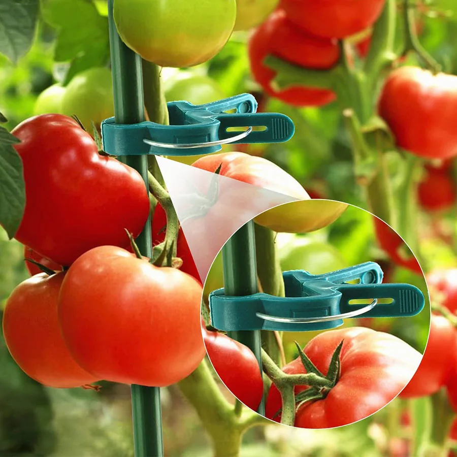 Plastic Plant Fixing Clips for Orchid & Tomato, Garden Plant Support Clips Gardening Set