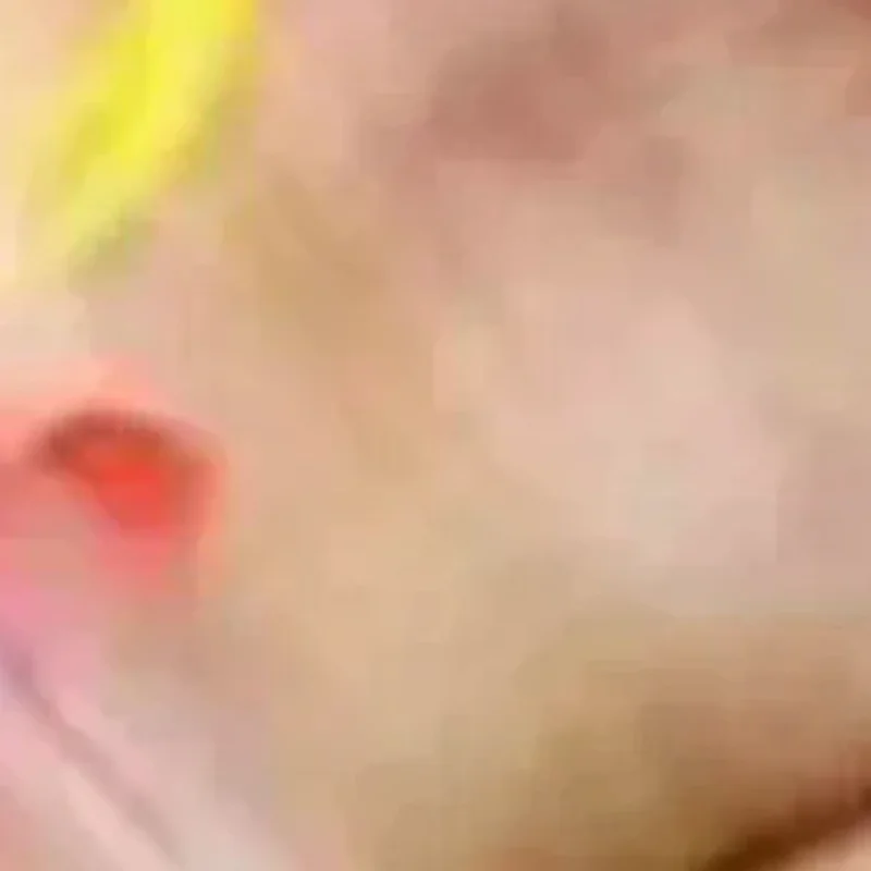 5 pçs casa de bonecas modelo em miniatura peixe carpa simulação animais para crianças brinquedos diy decorativo estatuetas peixinho decoração para casa