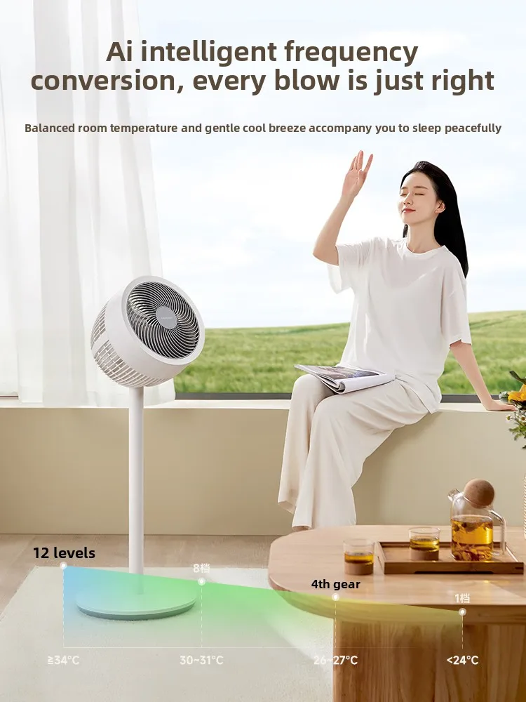 Air circulation fan, sleeping electric fan, household micro-silent floor fan C12