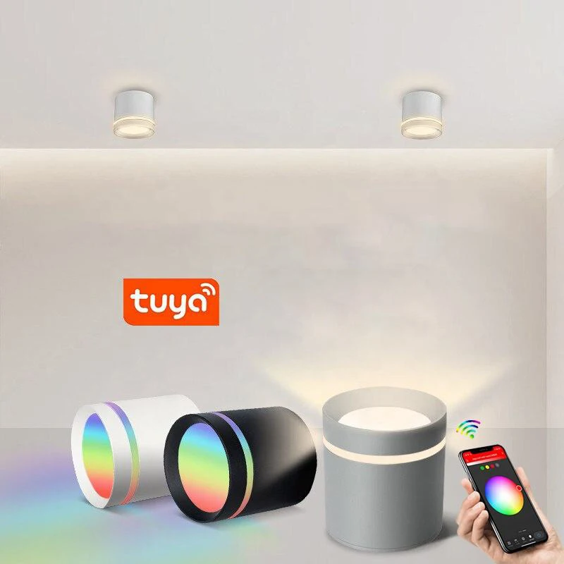 Tuya RGB+CCT Dimmable Smart WIFI Blue-tooth APP Control Surface Mounted Ceiling Light LED Down Light Spotlight