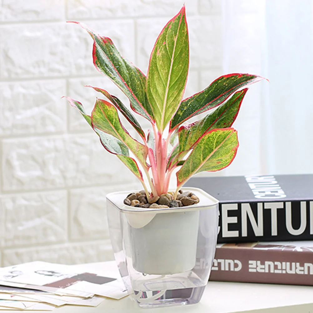 

Automatic Water Absorbent Flower Pot Planter Nursery Planters for Indoor Plants Pots Potted Resin Small